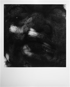 Image description is not available for 2024.073